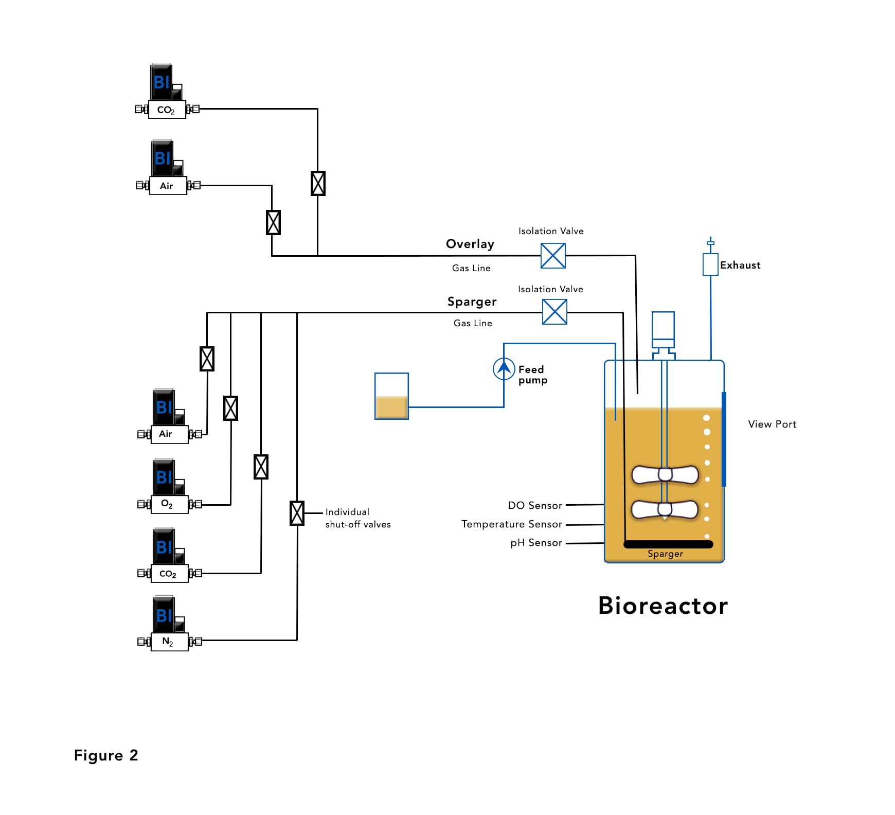 Bioreactor with Mass Flow Controllers