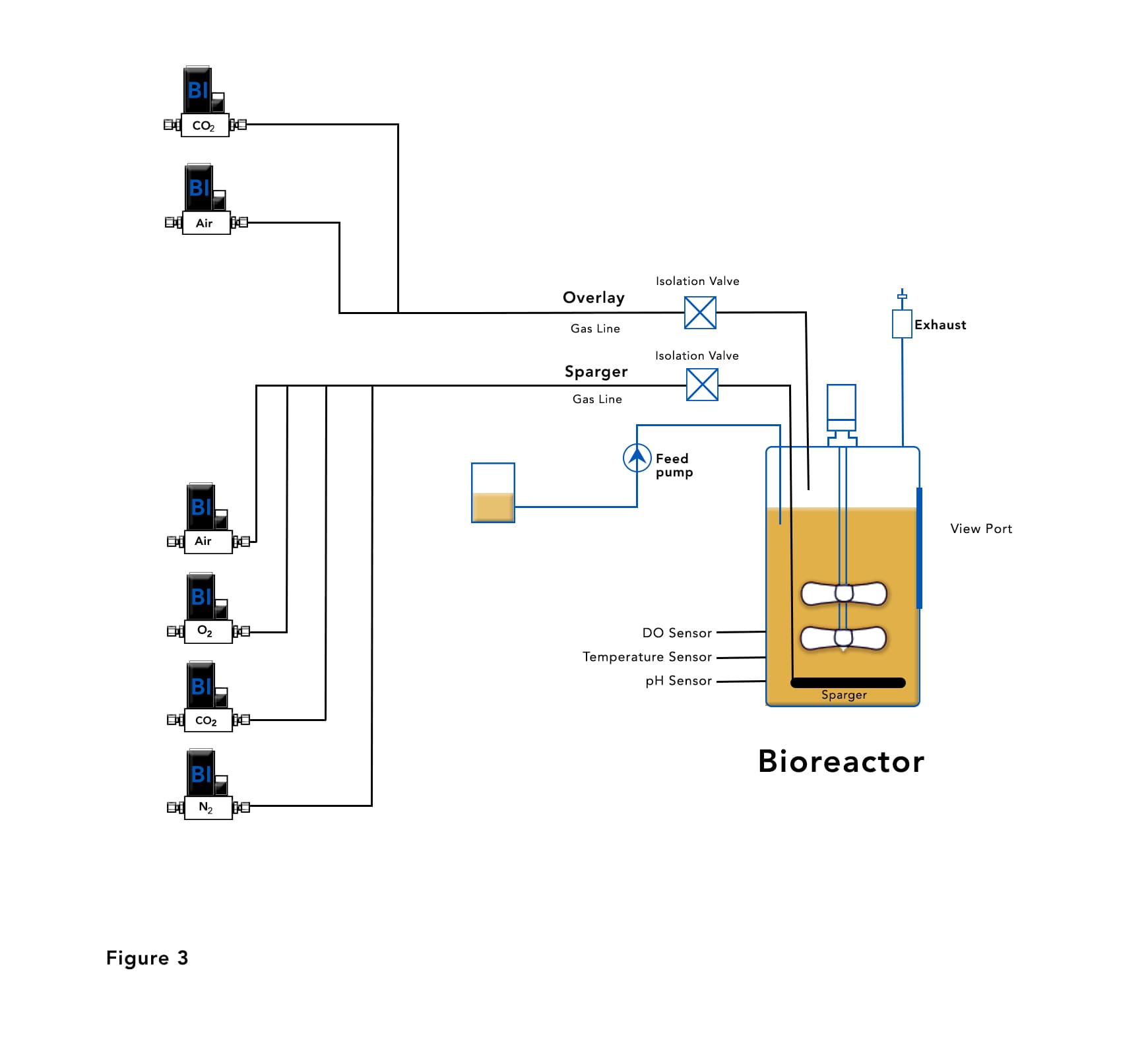 Bioreactor with Mass Flow Controllers